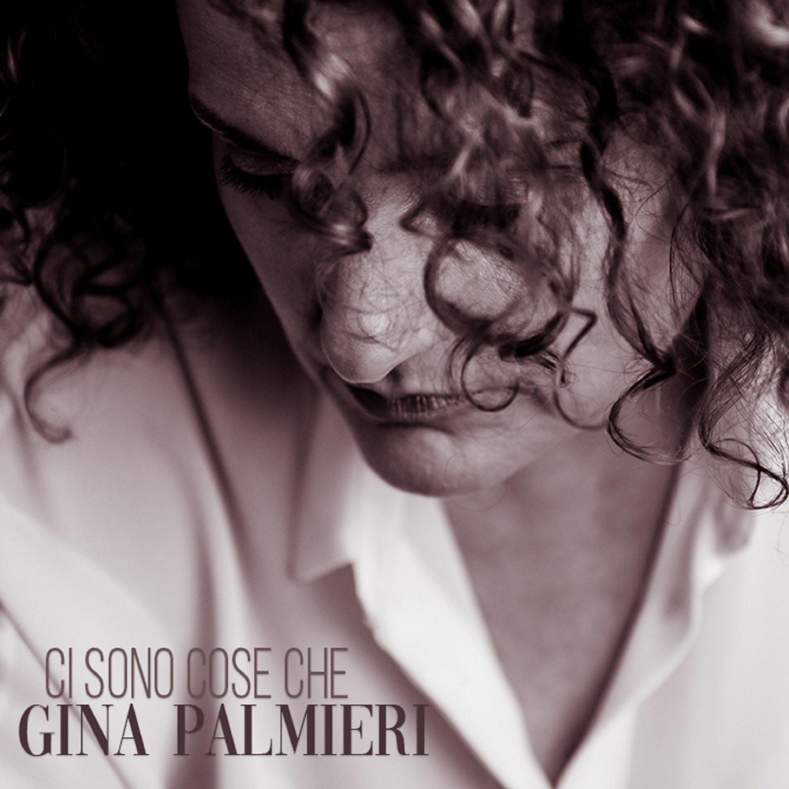 Il 13 Marzo, in tutti i digital stores,  in distribuzione con la SPC Sound, il nuovo singolo dell'artista Gina Palmieri "Ci  sono cose che".